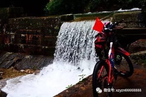 守护僵尸女友